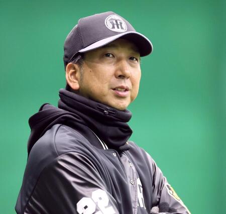 　練習を見守る藤川監督（撮影・立川洋一郎）