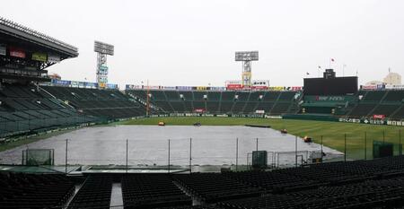 　阪神対中日のオープン戦は天候不良の為、中止に（撮影・中田匡峻）