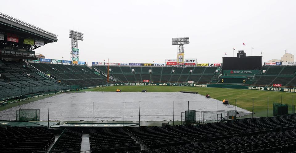　阪神対中日のオープン戦は天候不良の為、中止に（撮影・中田匡峻）