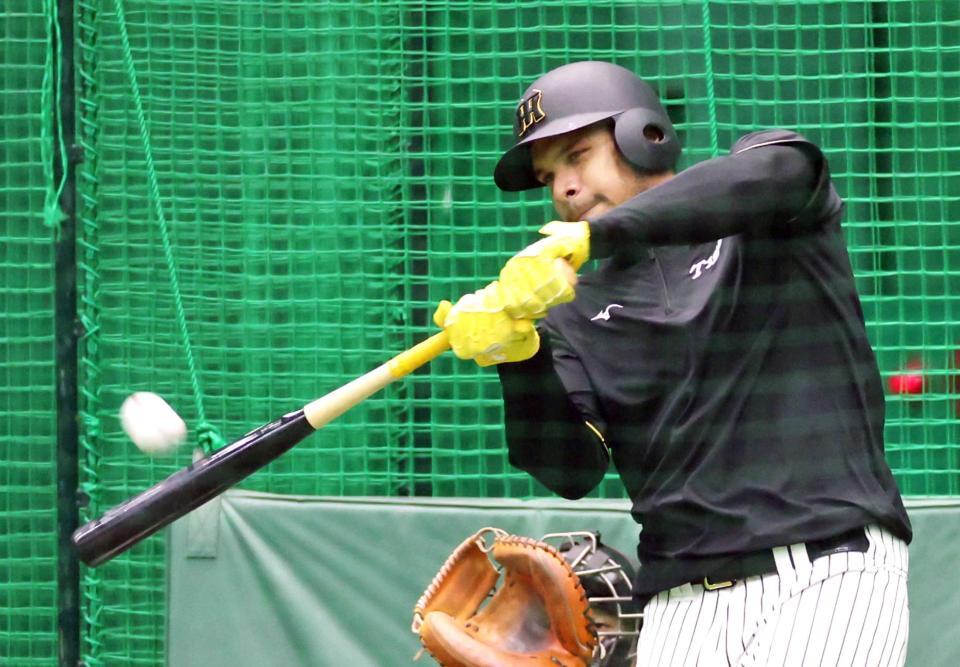 　打撃練習をするヘルナンデス