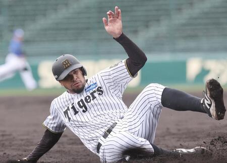 　２回、梅野の犠打で三塁へすべり込むヘルナンデス（撮影・田中太一）