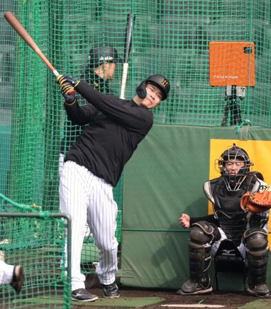 　打撃練習をする佐藤輝（撮影・中田匡峻）