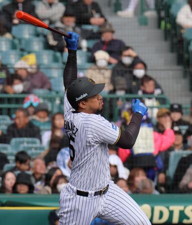 　５回、ソロを放つヘルナンデス（撮影・北村雅宏）