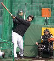 　打撃練習をする佐藤輝（撮影・中田匡峻）