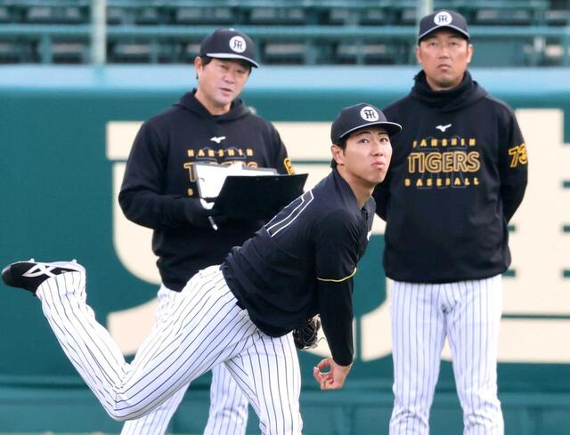 阪神タイガース】 工藤泰成 #24 直筆サインボール 新背番号