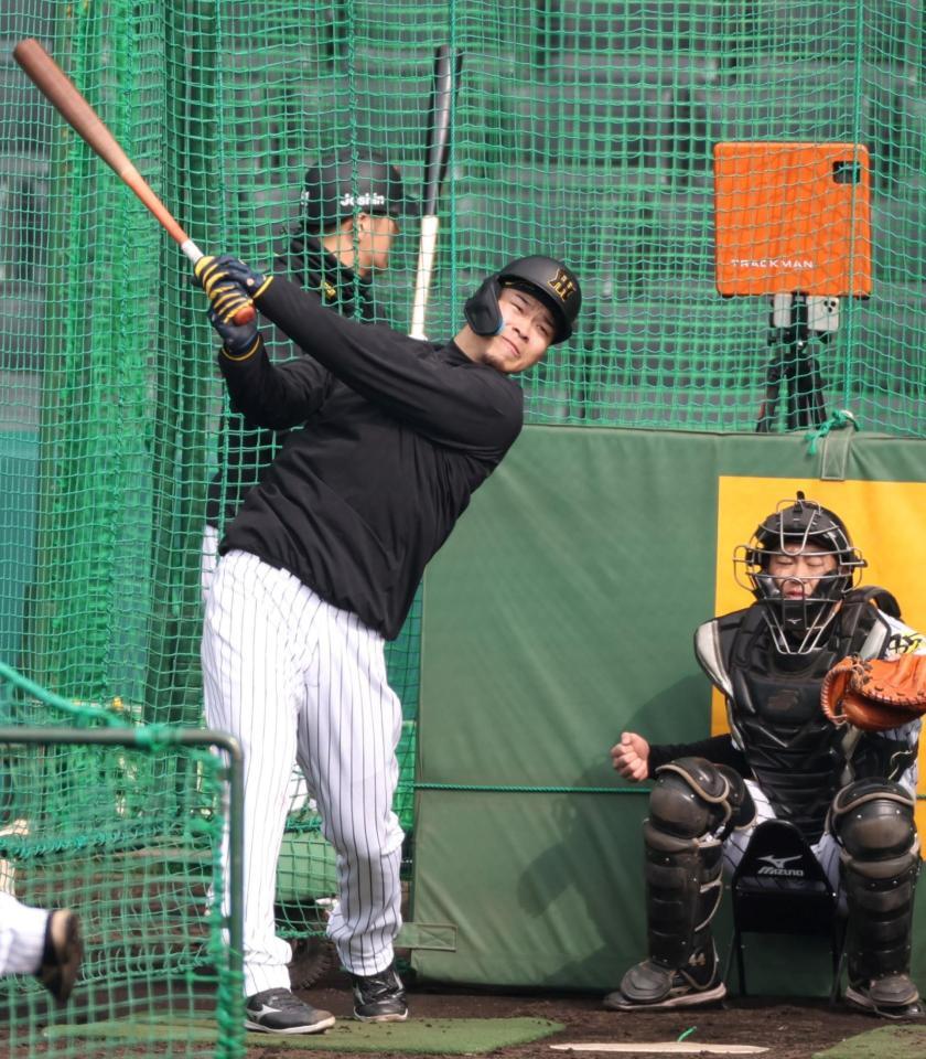 　打撃練習をする佐藤輝（撮影・中田匡峻）