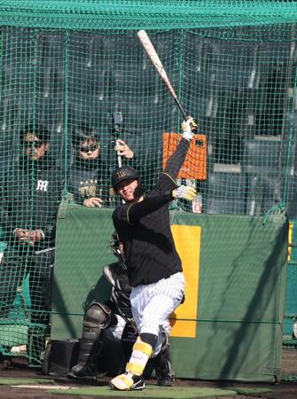 　打撃練習をする森下（手前右）＝撮影・中田匡峻