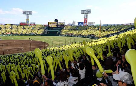 　７回、ジェット風船で黄色に染まるスタンド（撮影・山口登）