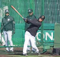 　打撃練習をする佐藤輝（撮影・中田匡峻）