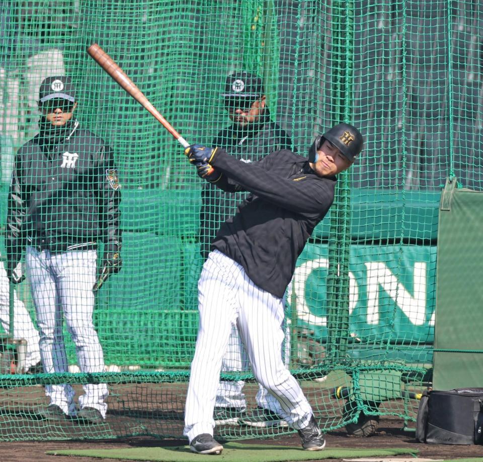 　打撃練習をする佐藤輝（撮影・中田匡峻）