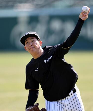 　キャッチボールをする伊原（撮影・田中太一）