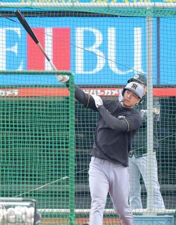 　打撃練習を行う佐藤輝（撮影・西岡正）
