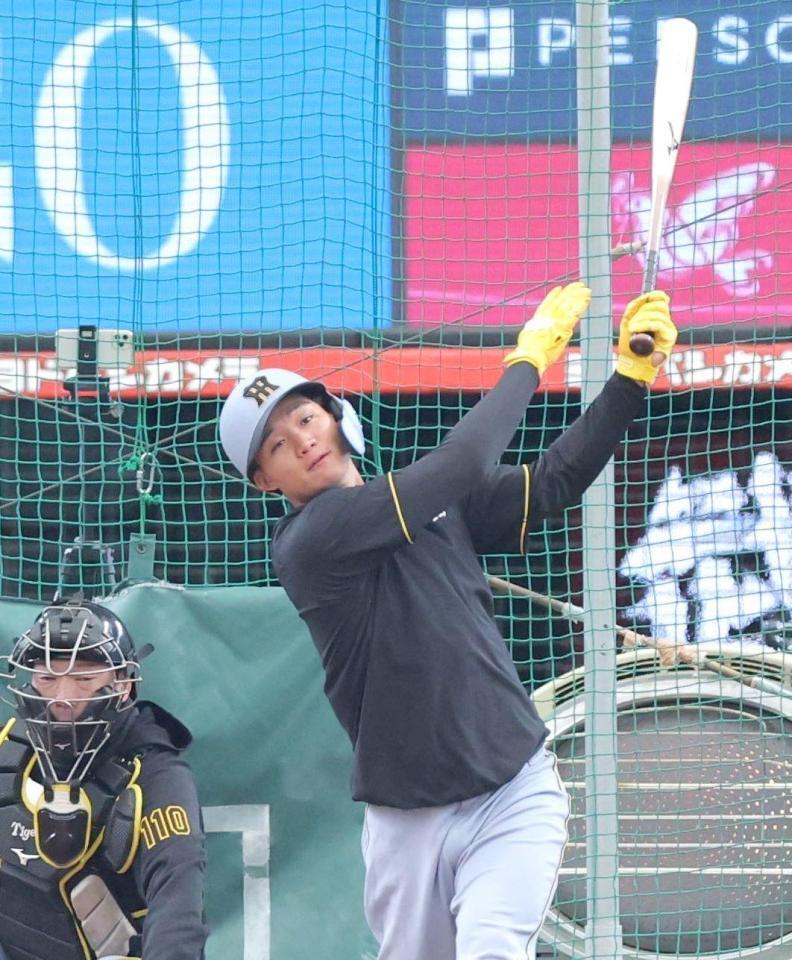 　打撃練習を行う森下（撮影・西岡正）