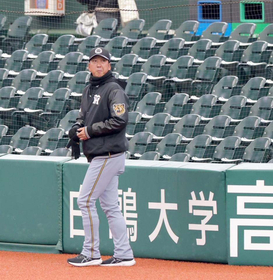 　一周して球場内を見る藤川監督（撮影・西岡正）