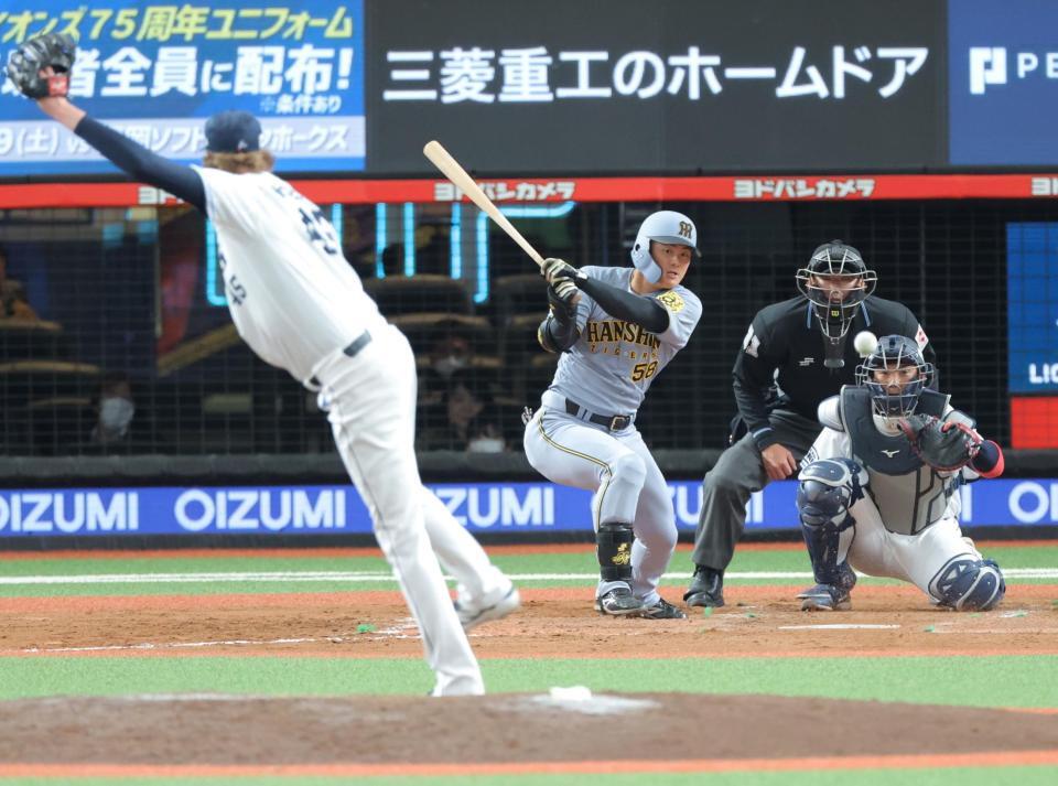 7/15出品取消 阪神タイガース 前川右京 サイズO tg-kba-obata_1.jpg