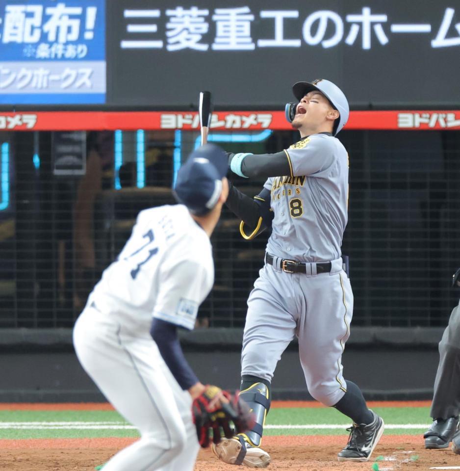 　４回、遊飛に倒れる佐藤輝（撮影・西岡正）