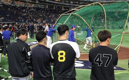 　カブスの練習を見る佐藤輝（８）ら阪神ナイン（撮影・中田匡峻）
