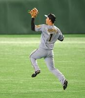 　ジャンプして打球を捕球する森下（撮影・西岡正）