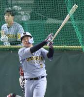 　打撃練習を行う大山（撮影・西岡正）
