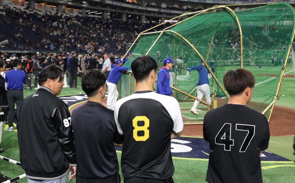 　カブスの練習を見る佐藤輝（８）ら阪神ナイン（撮影・中田匡峻）