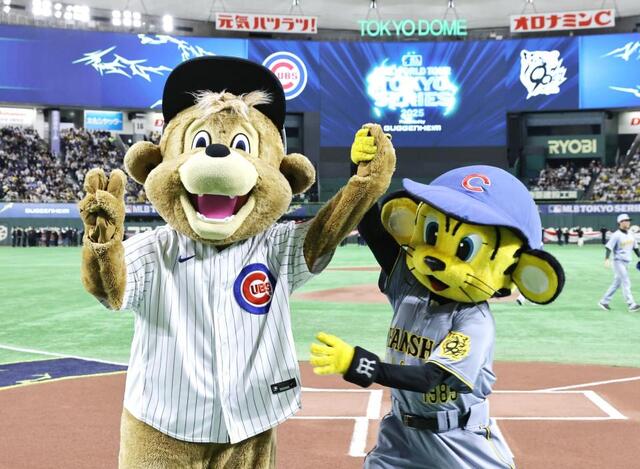 阪神 トラッキーがベッツにタイガースグッズをプレゼント！三塁ベンチ