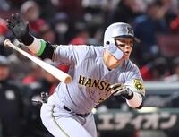 阪神・大山がコラントッテと契約 幸運のネックレスで“アレ”導く