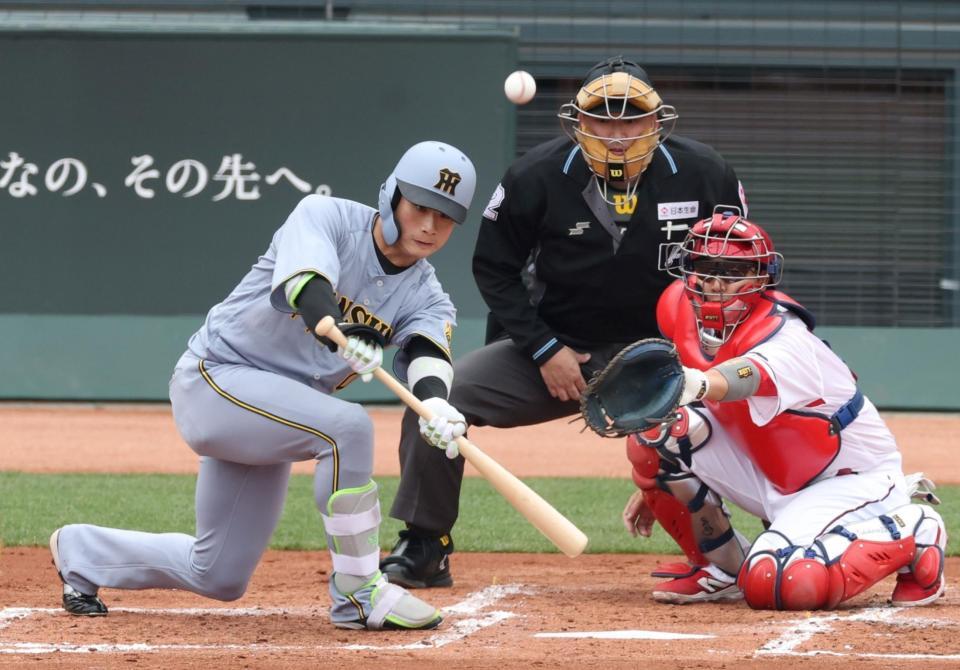 　３回、送りバントを失敗する木浪（撮影・中田匡峻）