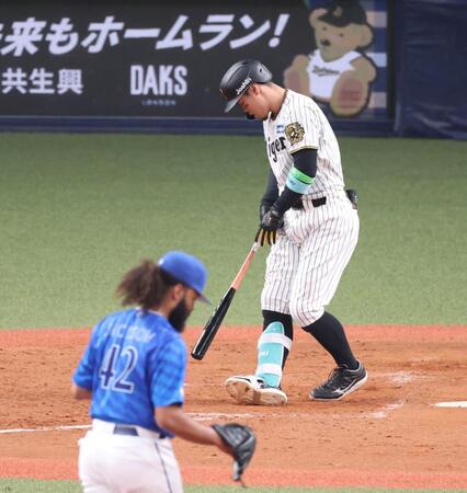 　５回、ジャクソン（手前）から空振り三振を奪われた佐藤輝（撮影・中田匡峻）