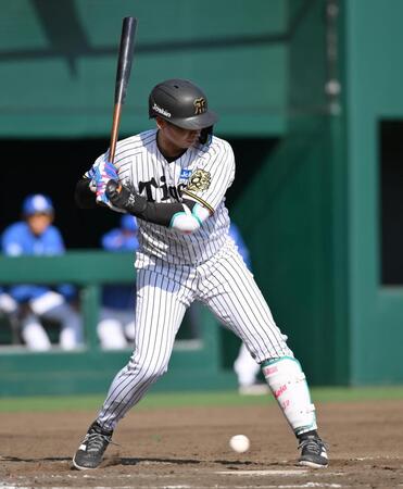 阪神・平田2軍監督 2軍降格の井上広大に「まだシーズンは始まったばっかり。まだチャンスある」