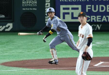 　１回、中前打を放つ近本（撮影・金田祐二）