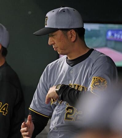 　７回、タイミングを計るような動きをする藤川監督（撮影・中田匡峻）