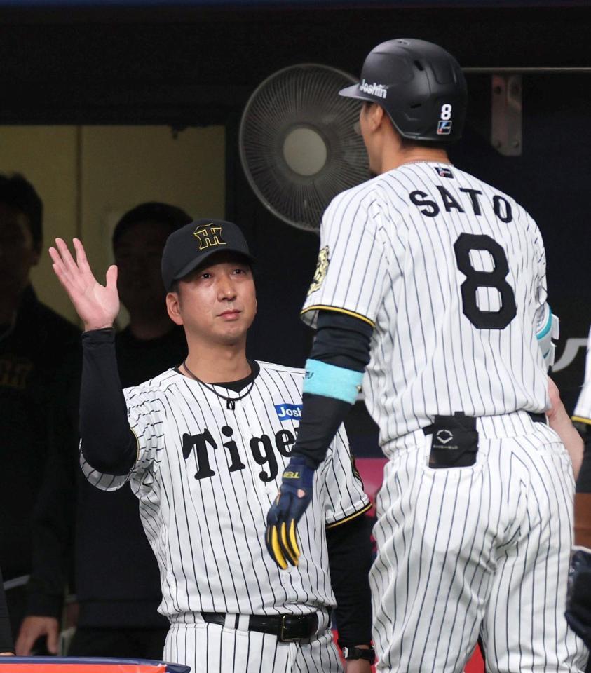 　８回、同点２ランを放った佐藤輝を迎える藤川監督（左）＝撮影・北村雅宏