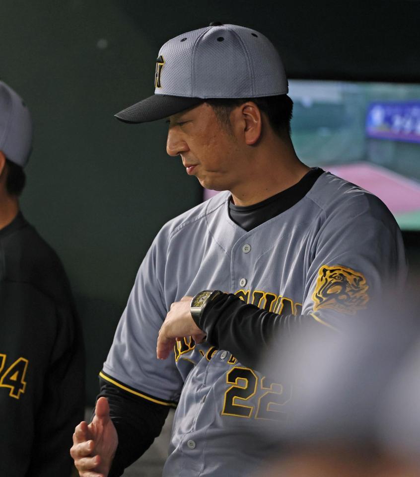 　７回、タイミングを計るような動きをする藤川監督（撮影・中田匡峻）