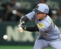 　６回、犠打を決める村上（撮影・中田匡峻）