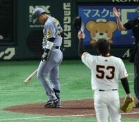 ７回、死球を受ける前川（投手・高梨）＝撮影・金田祐二