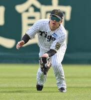 ８回、打球を好捕する楠本（撮影・西田忠信）