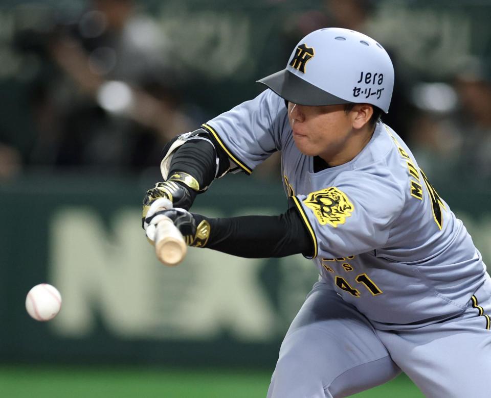 　６回、犠打を決める村上（撮影・中田匡峻）