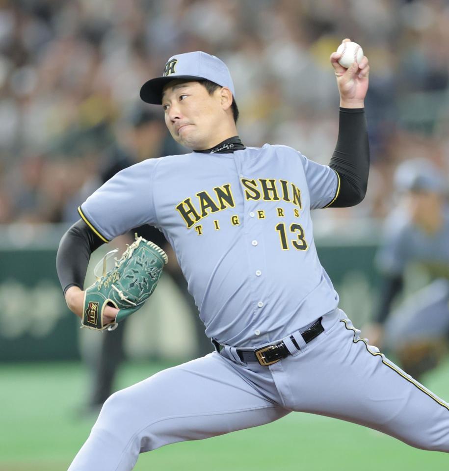 　９回に登板し力投する岩崎（撮影・西岡正）