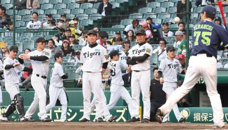 　試合前、ウオーミングアップする阪神ナイン（撮影・北村雅宏）