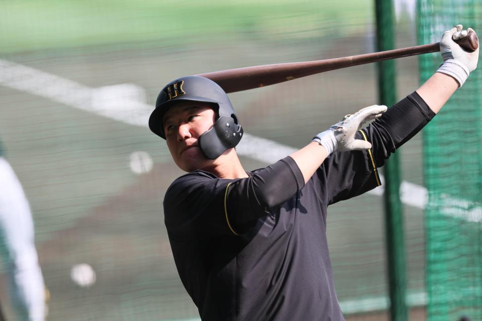 　打撃練習をする渡辺（撮影・田中太一）