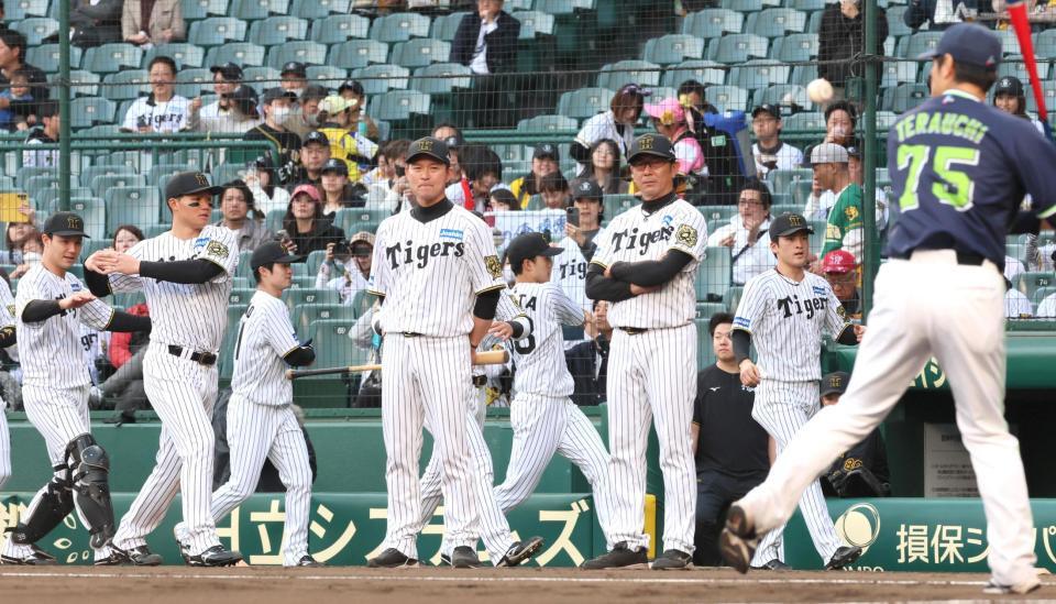 　試合前、ウオーミングアップする阪神ナイン（撮影・北村雅宏）