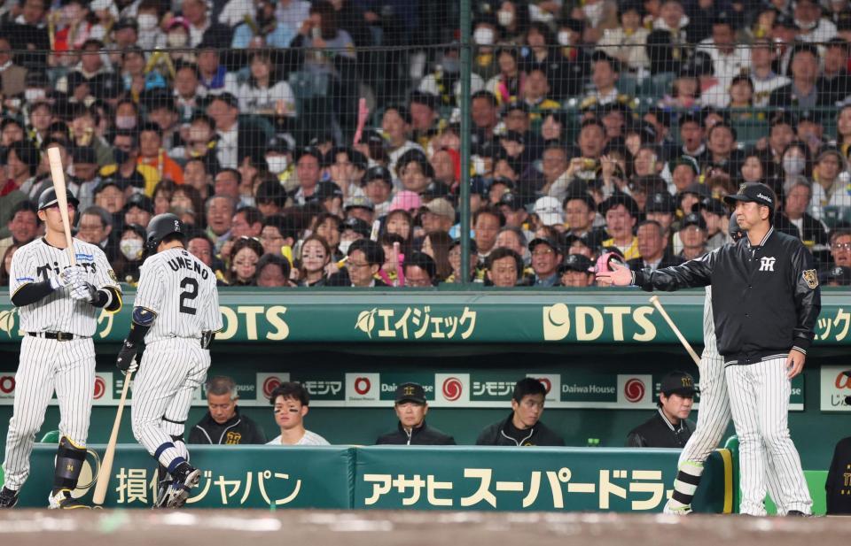 　７回、梅野に代打・原口（左端）を告げる藤川監督（右端）＝撮影・北村雅宏