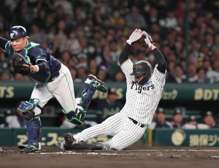 　２回、梅野の投ゴロの間に先制の生還を果たす三走・大山（撮影・北村雅宏）