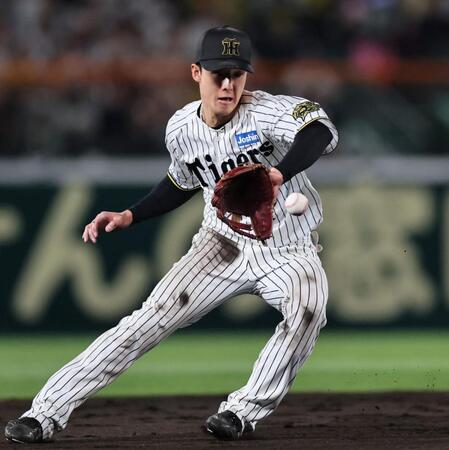 　８回、増田の打球を好捕する小幡（撮影・田中太一）