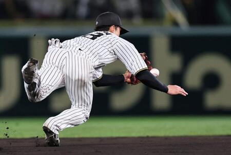 　８回、オスナの打球を好捕する小幡（撮影・田中太一）