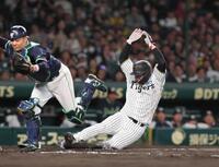 　２回、梅野の投ゴロの間に先制の生還を果たす三走・大山（撮影・北村雅宏）