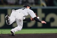 　８回、オスナの打球を好捕する小幡（撮影・田中太一）