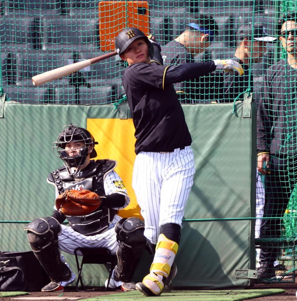 　打撃練習する森下（撮影・山口登）