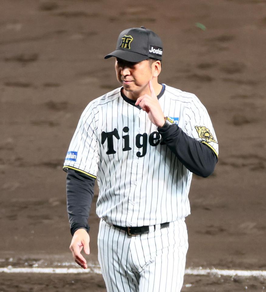 　６回、同点に追いつかれて投手を交代させ、ベンチへ引き揚げる藤川監督（撮影・立川洋一郎）
