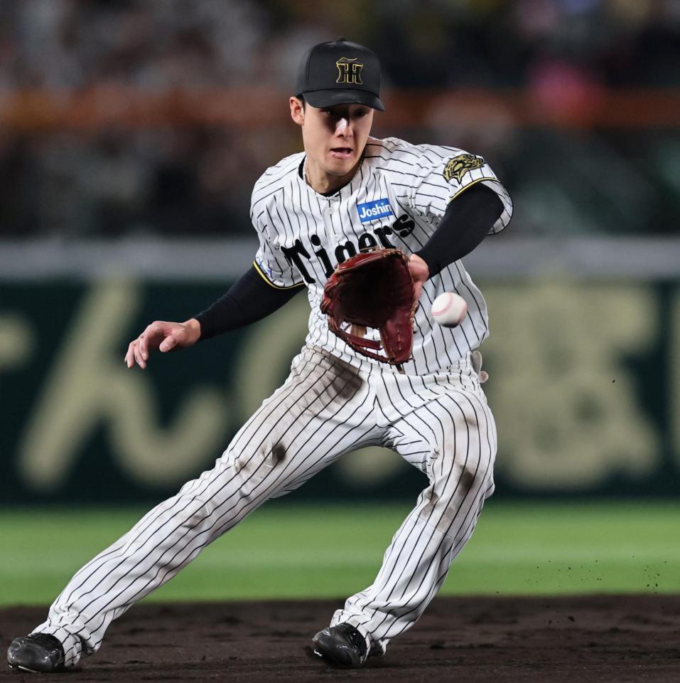 　８回、増田の打球を好捕する小幡（撮影・田中太一）